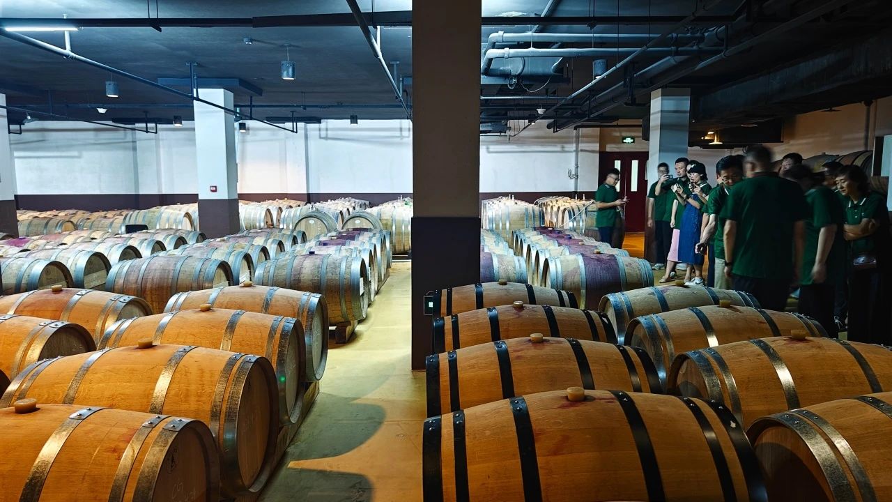 16981940502578038C57.jpg 5.jpg